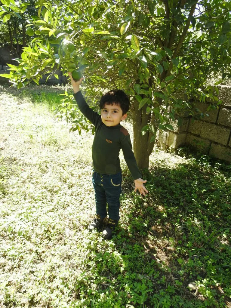 مهدی علیزاده