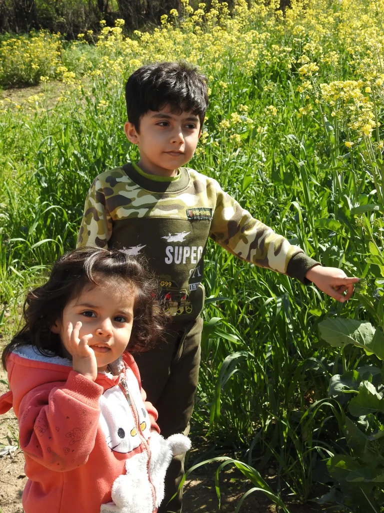 مهدی علیزاده